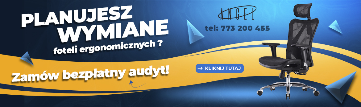 Audyt ergonomiczny stanowisk pracy - Angel Chairs