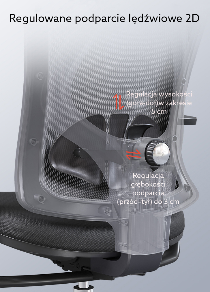 ANGEL Europa 2.0 – regulowane podparcie lędźwiowe 2D (góra-dół i głębokość)
