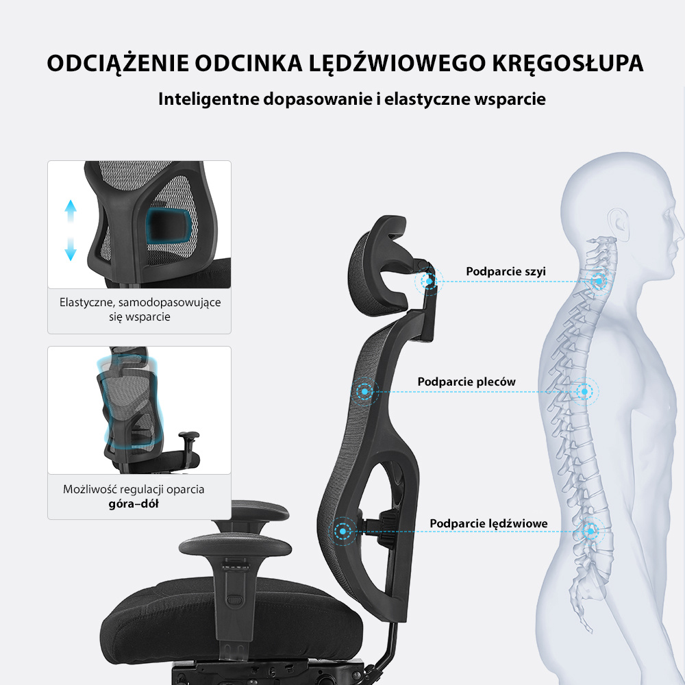 Infografika – odciążenie odcinka lędźwiowego i podparcie lędźwiowe w fotelu ergOmed