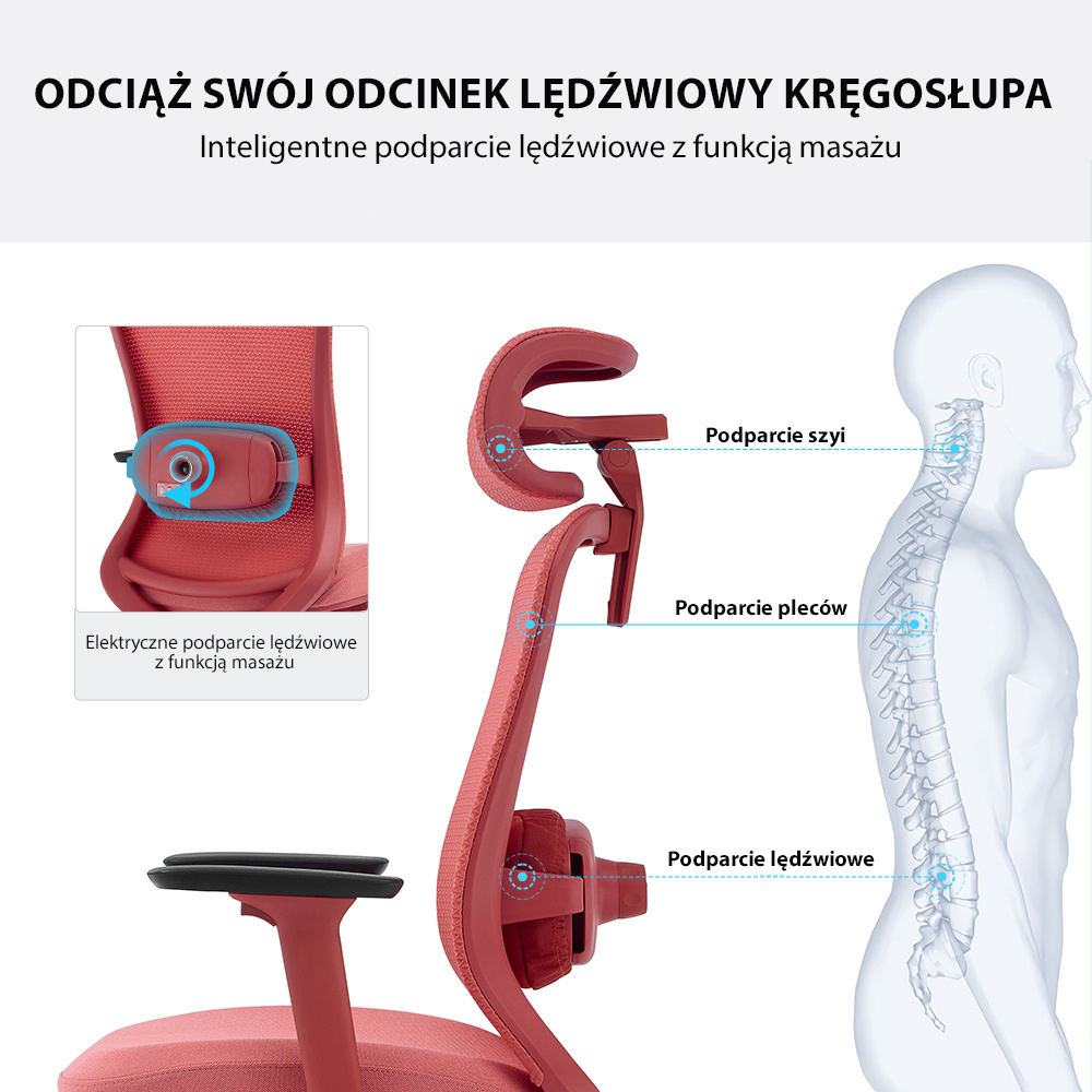 Infografika – elektryczne podparcie lędźwiowe z funkcją masażu w fizjO mint: ulga i relaks dla odcinka lędźwiowego